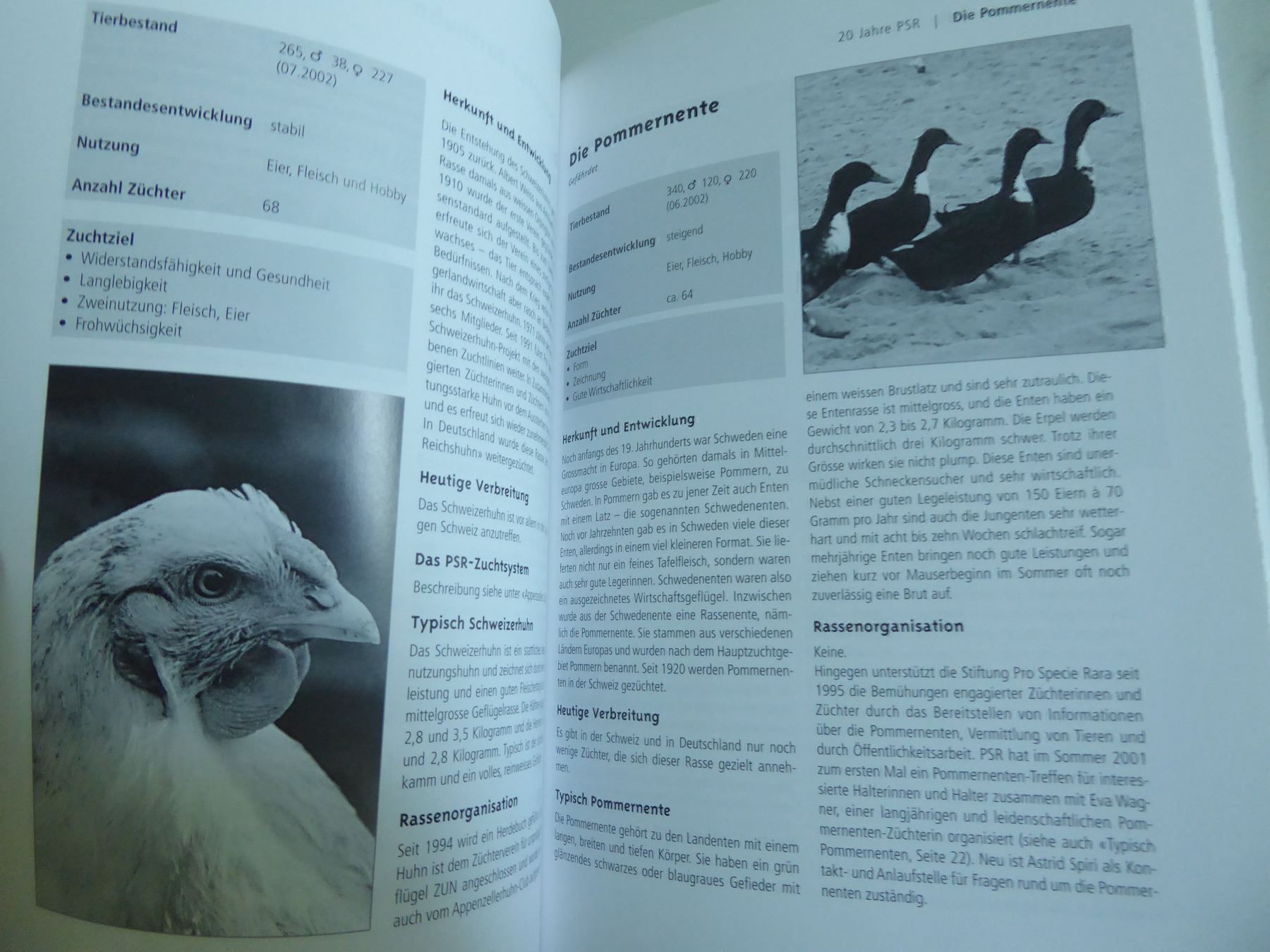 Libri: Tschüpperli, Stiefelgeiss und andere – Usato da Zürich venduto da Chaeffeler 3