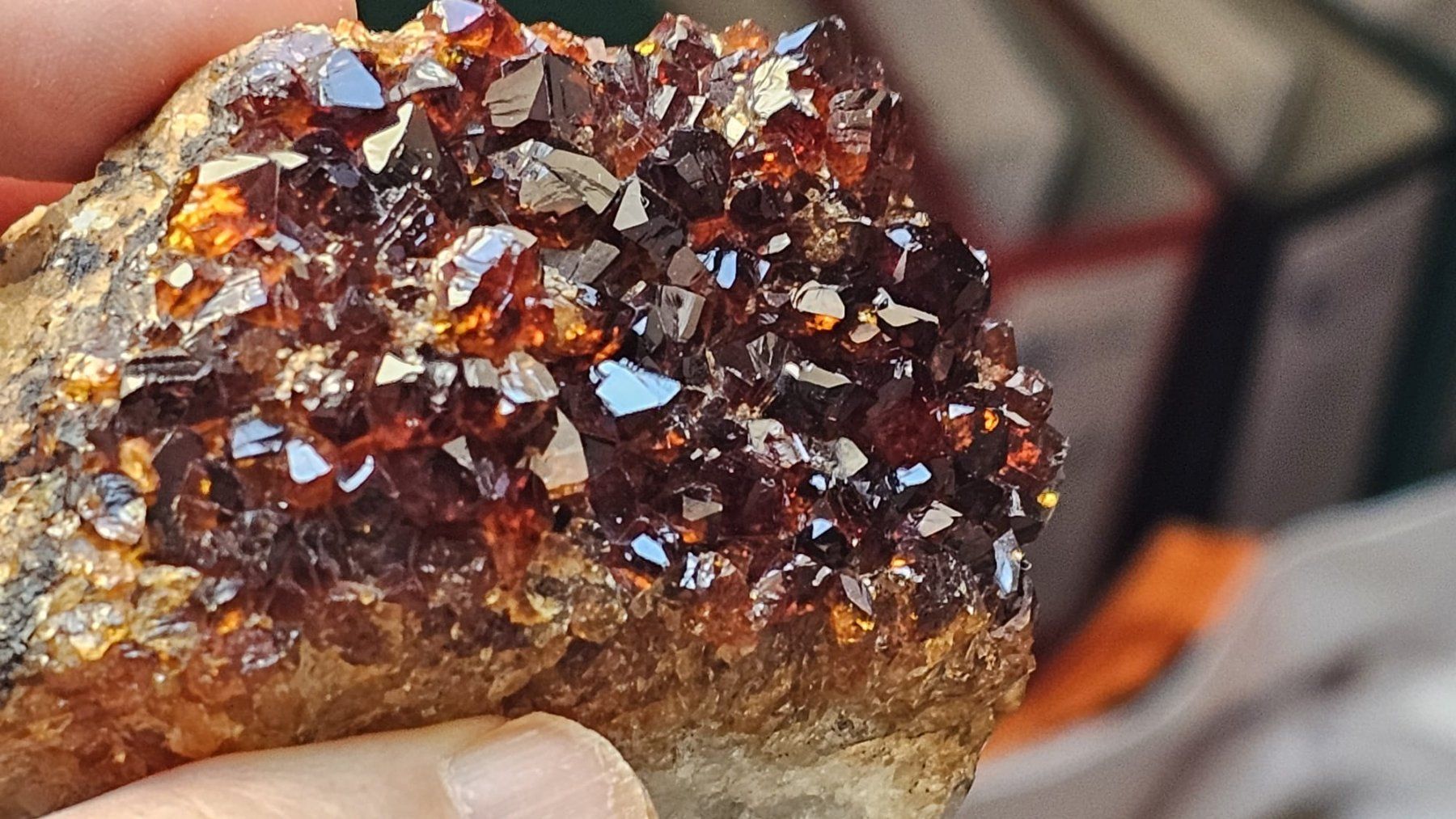 Minerali & Pietre curative: Dark Red Garnet Crystal Cluster on Matrix – Usato da St-Légier-Chiésaz venduto da nig_dk7p