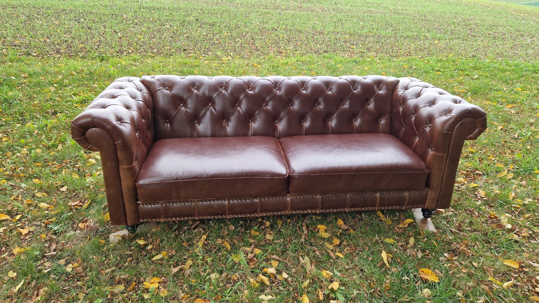 Chesterfield Sofas: Chesterfield Sofa. Leder – Gebraucht aus Schötz von dasso1163 5