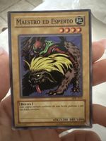 Carta Yu-Gi-Oh MAESTRO ED ESPERTO MIK-1015