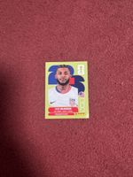 Panini Sticker Marc McKenzie USA Nr. 5