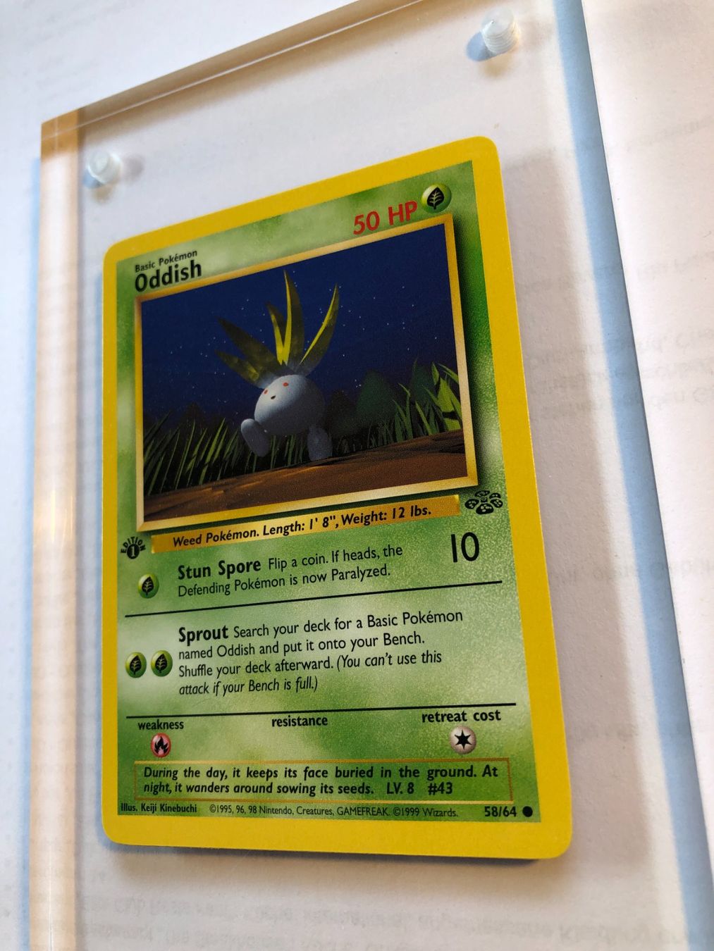 Carte collezionabili: Oddish 1st Jungle - LP/NM - ab 1.- – Usato da Giubiasco venduto da dan_pr8b 2