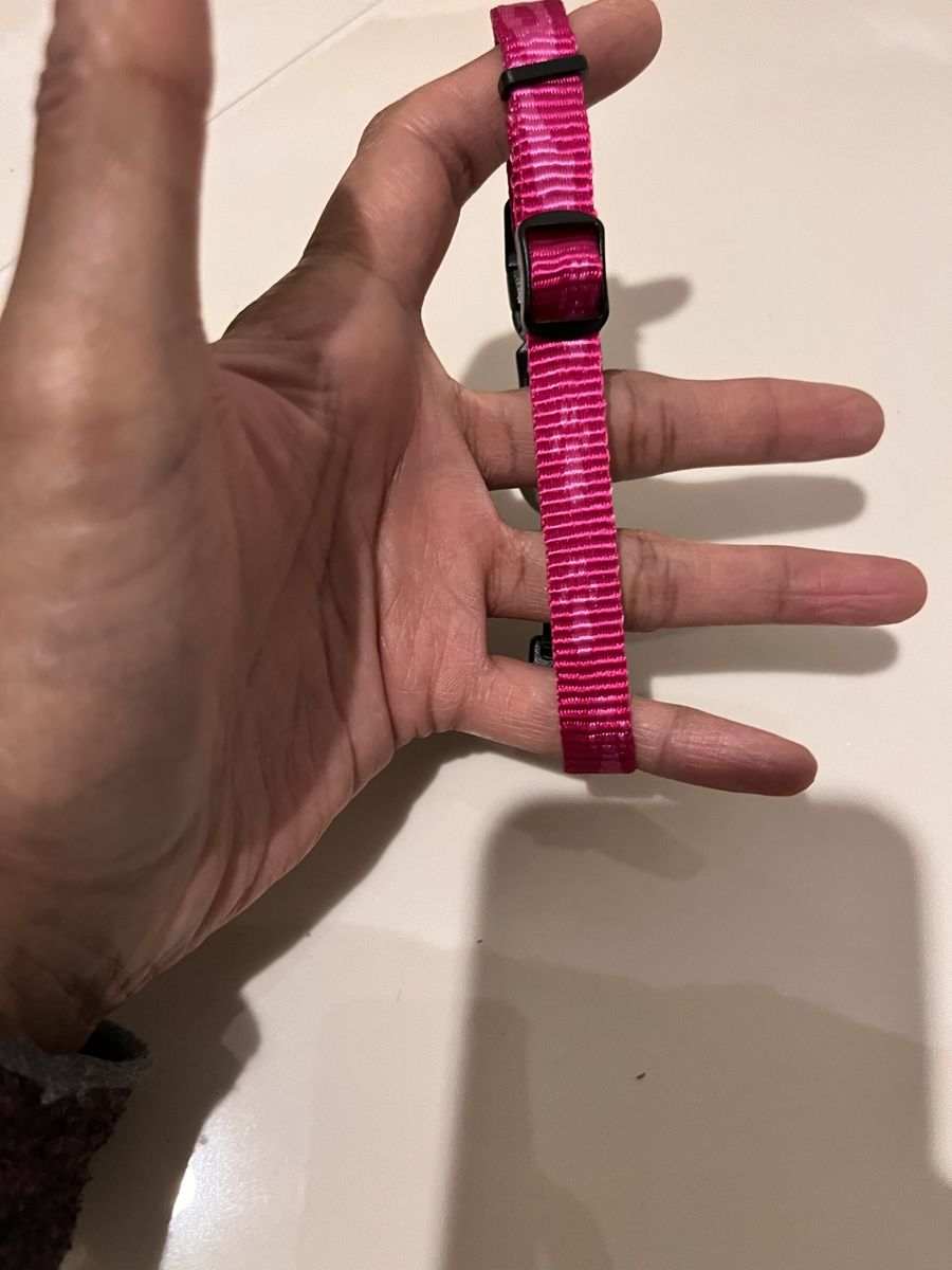 Nastri decorativi: Pink ZeeDog adjustable dog collar XS – Nuovo (secondo la descrizione) da Affoltern am albis venduto da onlyrose123 2