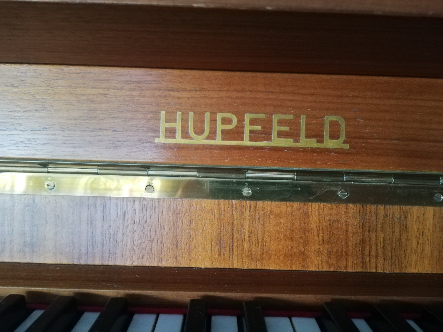 Strumenti musicali: Klavier Hupfeld – Usato da Sachseln venduto da lebensmittelpunkt 2