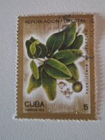Briefmarke Kuba Repoblacion Forestal 1975 5c