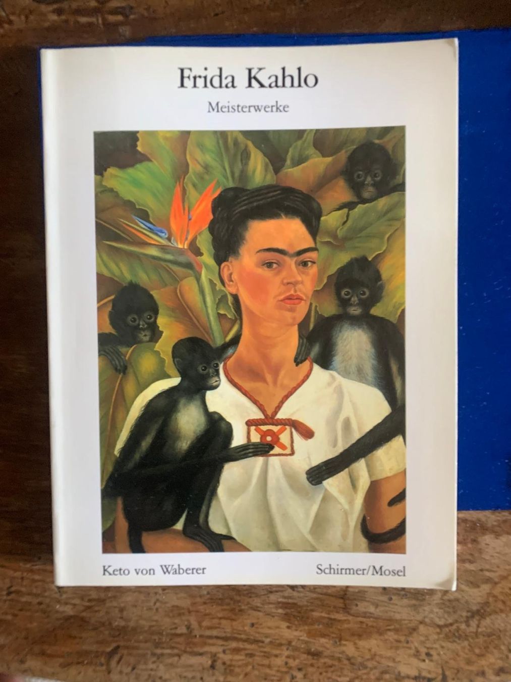 Livres: Frida Kahlo Meisterwerke – D'occasion à Unteraegeri par schlauer2003