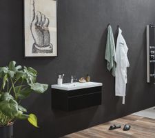 11859 - Badmöbel WANGEN BIG S Badezimmermöbel schwarz