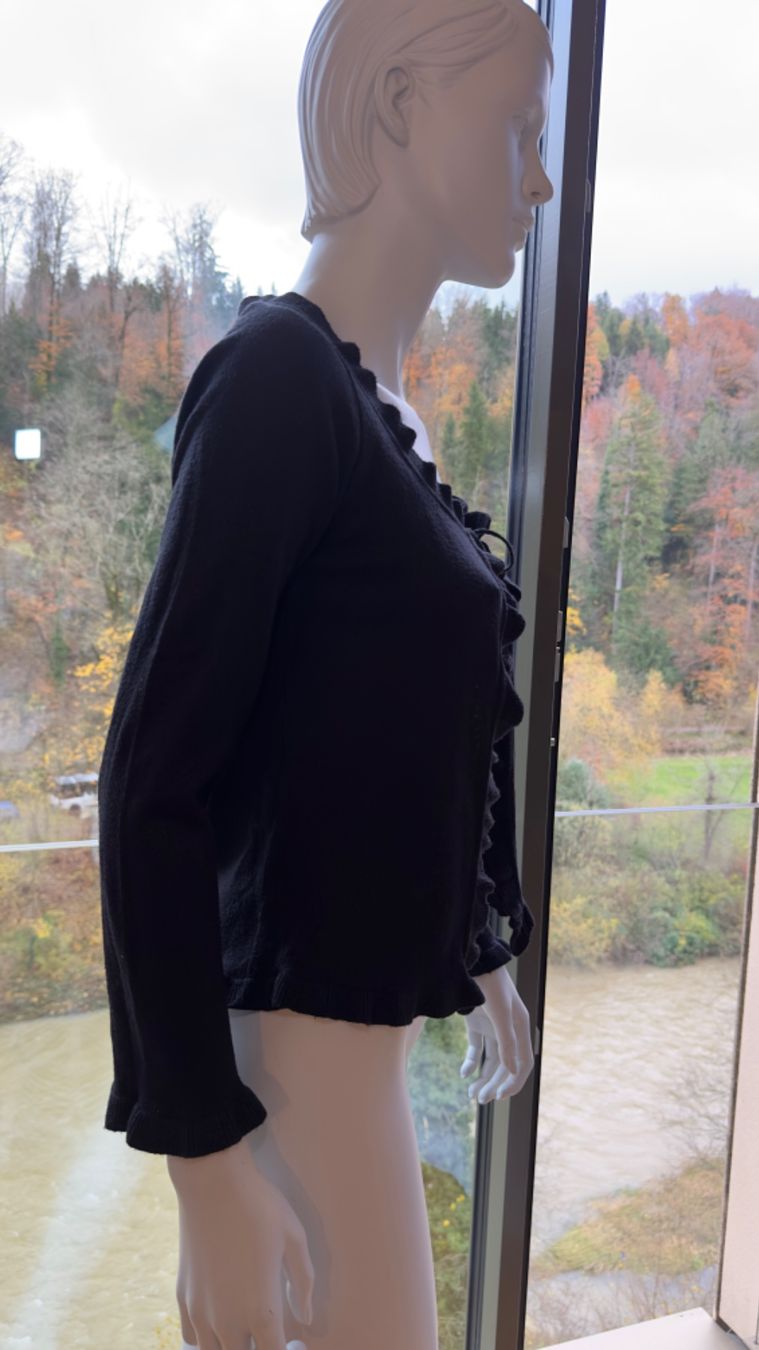 Pullover & Sweatshirts: Bscs Pullover – Gebraucht aus Adliswil von RicPro 1