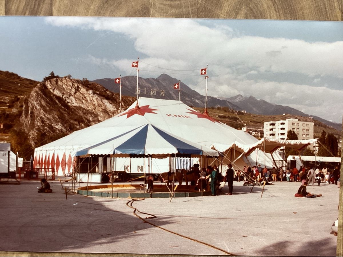 Foto & Immagini: Circus Knie Foto 1984 – Usato da Reichenbach i. K. venduto da astra2010