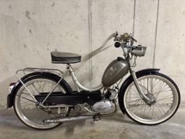 SACHS 502 HG - Allegro