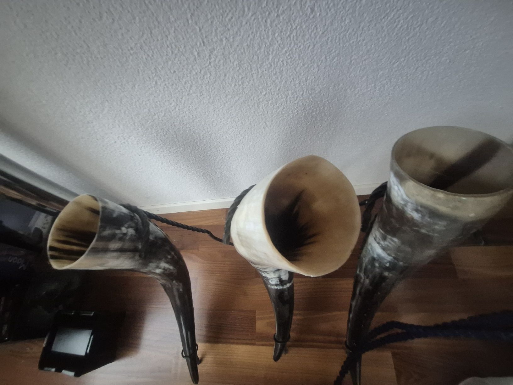 Tutte le decorazioni: Trinkhorn mit ständern – Nuovo (secondo la descrizione) da Luzern venduto da portres 1