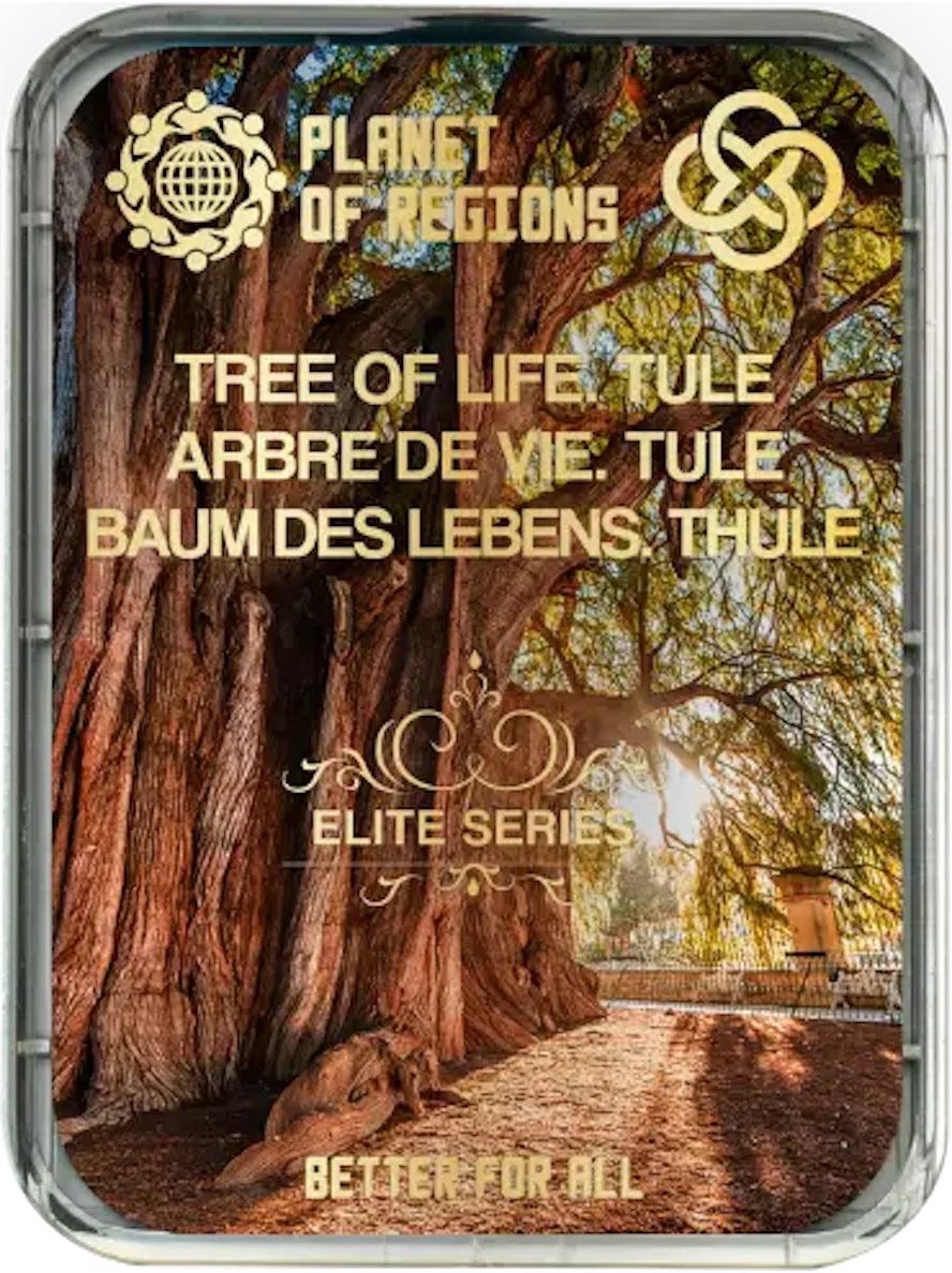 Altro per la cura del corpo: CEF de Koltsov "Arbre de vie. Tule" / Kolzov Platten – Usato da Lausanne venduto da Etoile96 3