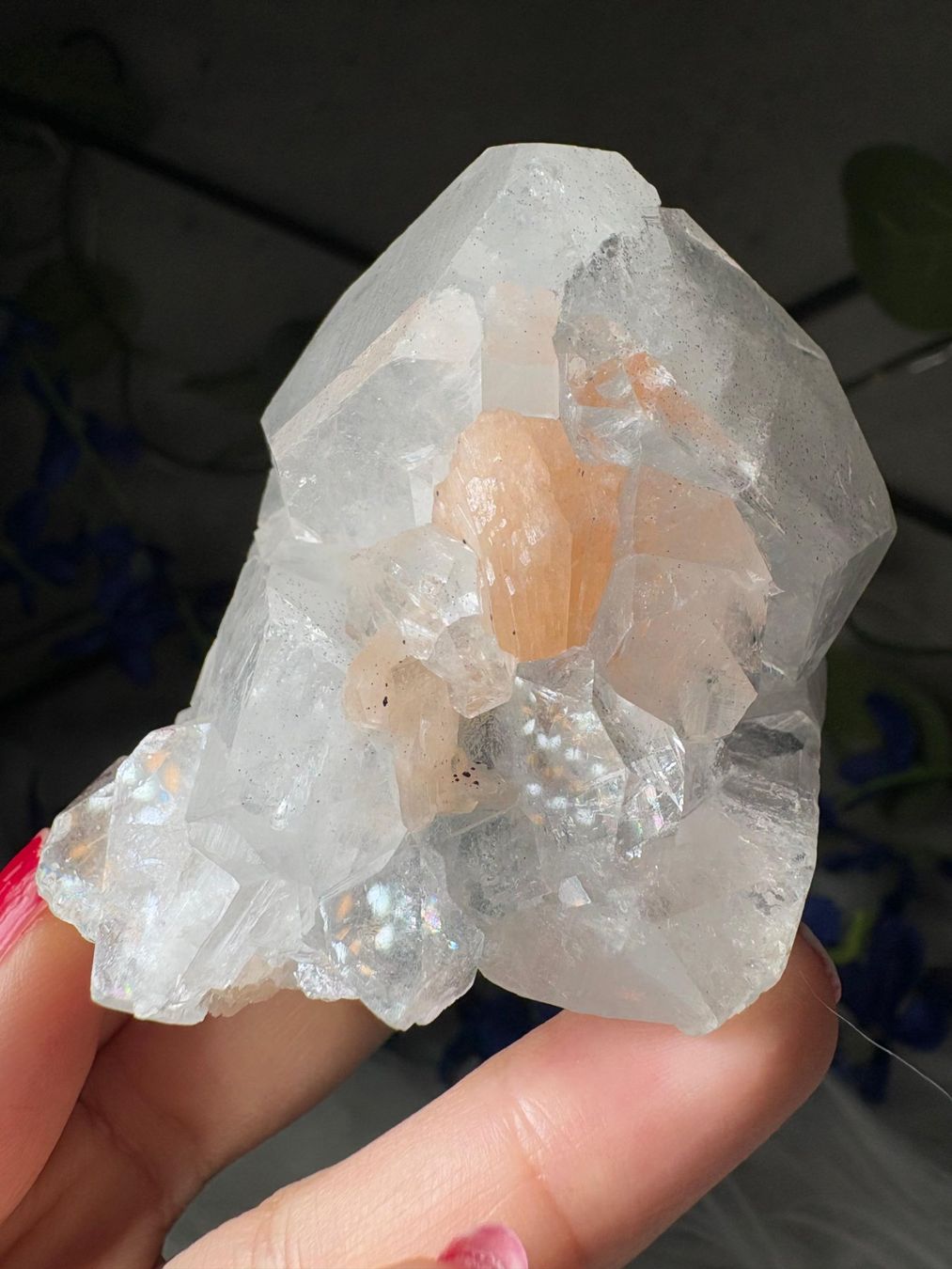 Mineralien & Heilsteine: Apophyllit mit Stilbit – Neu (gemäss Beschreibung) aus Neuheim von m.hald 9