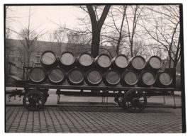 Fotografie Brauerei-Festwagen / Kutschwa