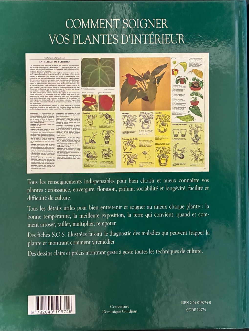 Libri: Soigner les plantes et les cactus – Usato da Moutier venduto da lebadin 1
