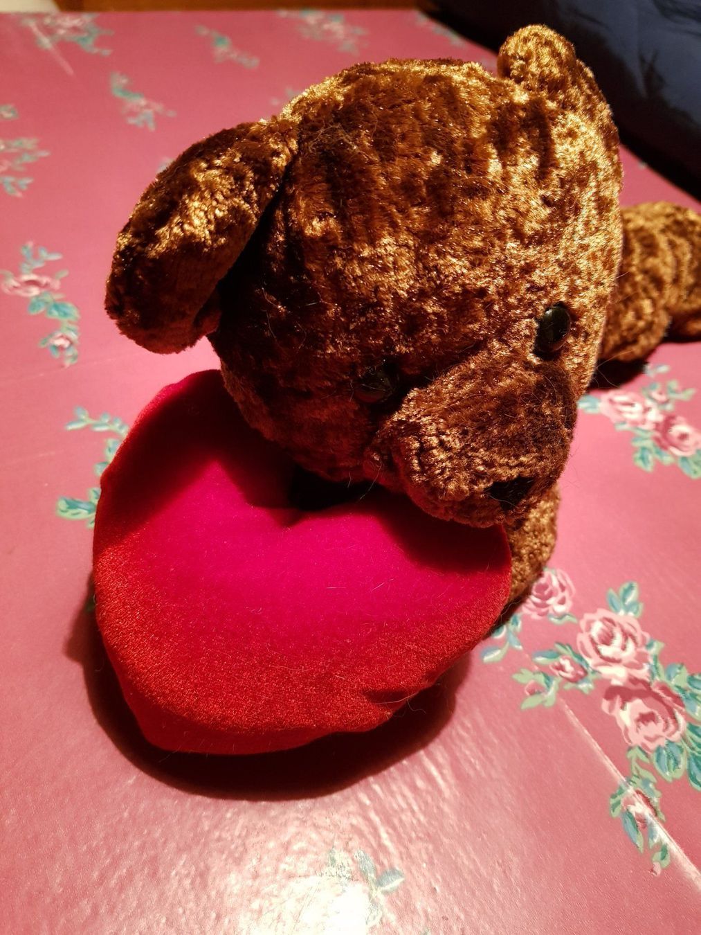 Jouets: Plüschbär mit Herz G – D'occasion à Schwarzenburg par Flamingo07 1