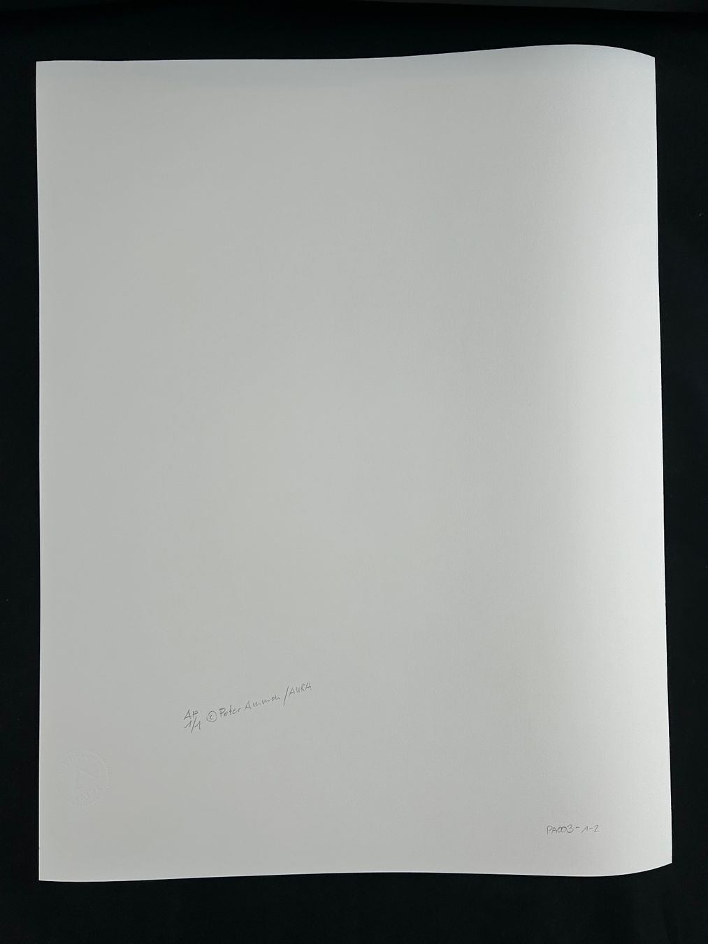 Foto & Immagini: Originalfotografie Peter Ammon "Hans Erni im Atelier" – Usato da Eschenbach LU venduto da rog_y5bx 2