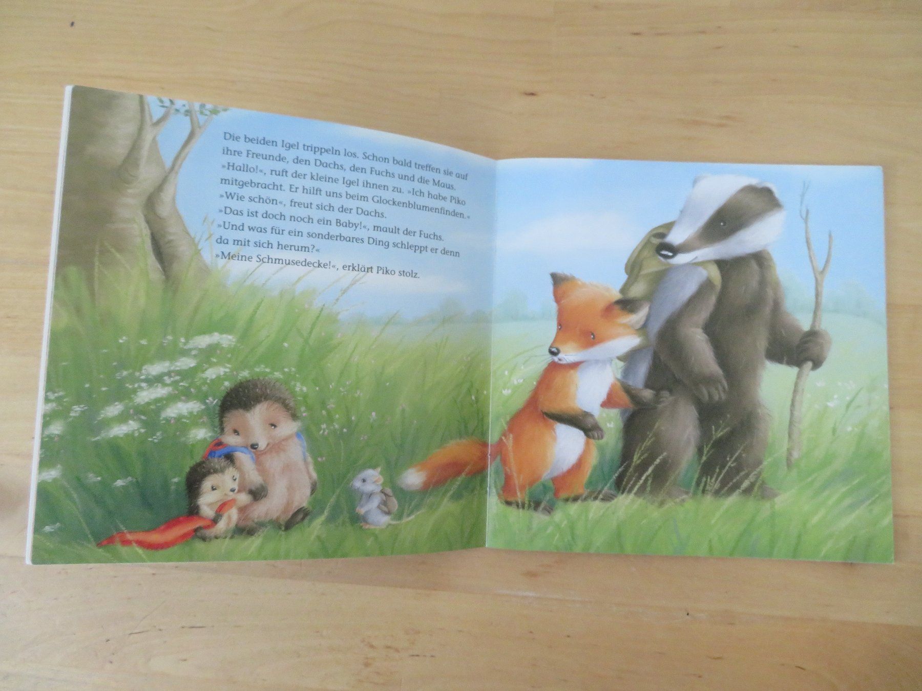 Libri: MAXI PIX BÜCHER – Usato da Zürich venduto da piroma 2