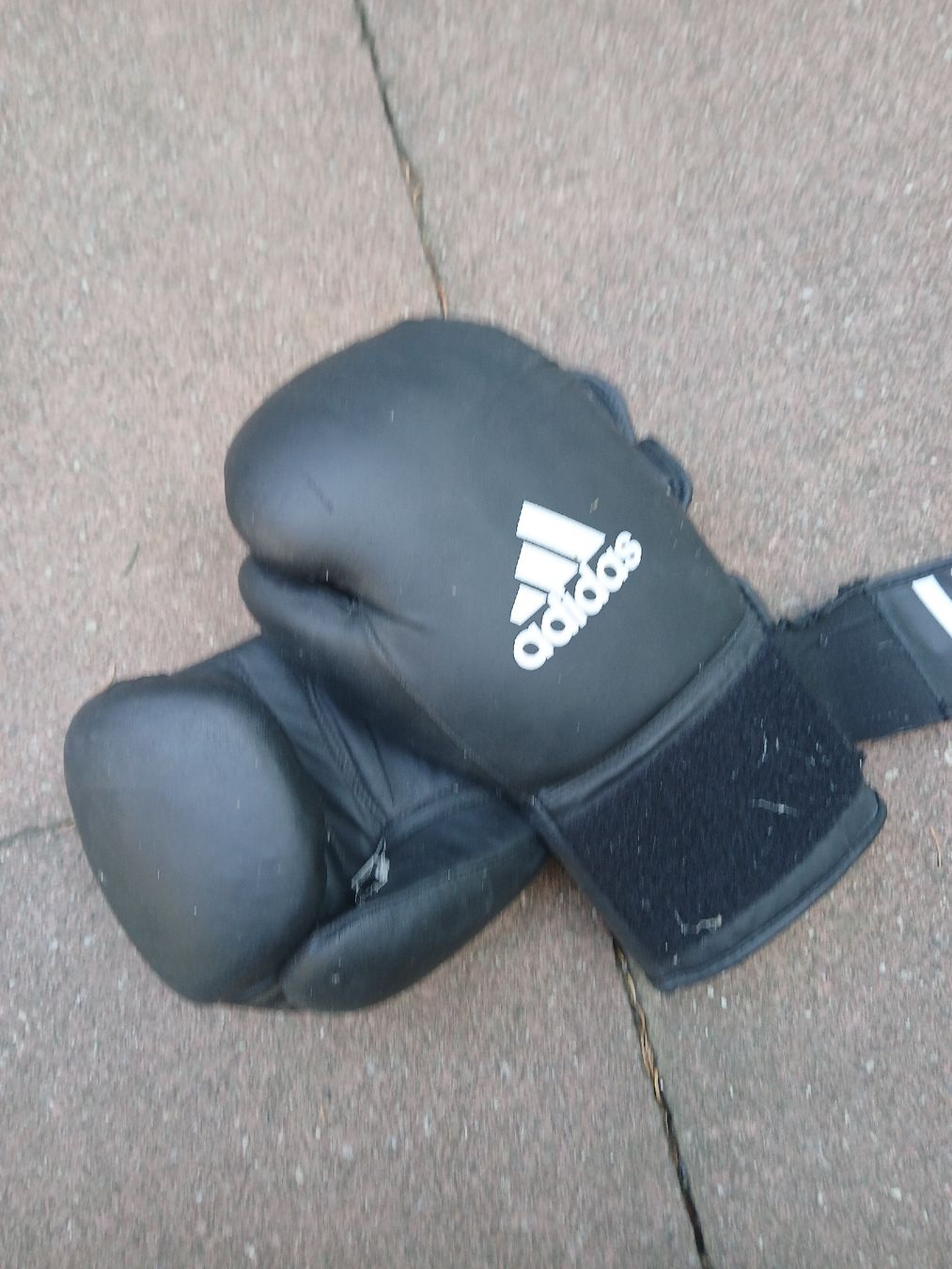 Adidas Guanti & manicotti: Boxhandschuhe Adidas schwarz gebraucht – Usato da Bern venduto da jon_552k 4