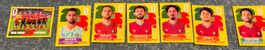 Panini WM 2026 POR 2, 6, 9, 12, 13, 14, 18 und 20