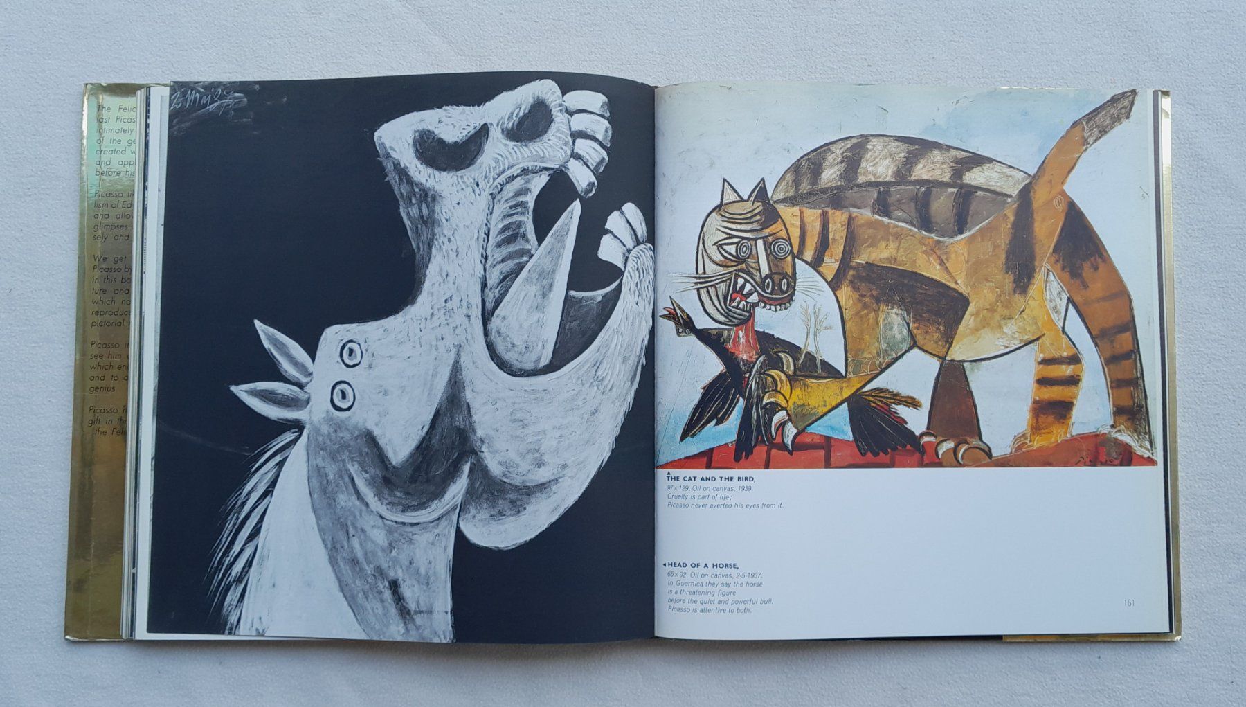 Libri: Picasso 'Felicie' – Usato da Samstagern venduto da Karibik64 7
