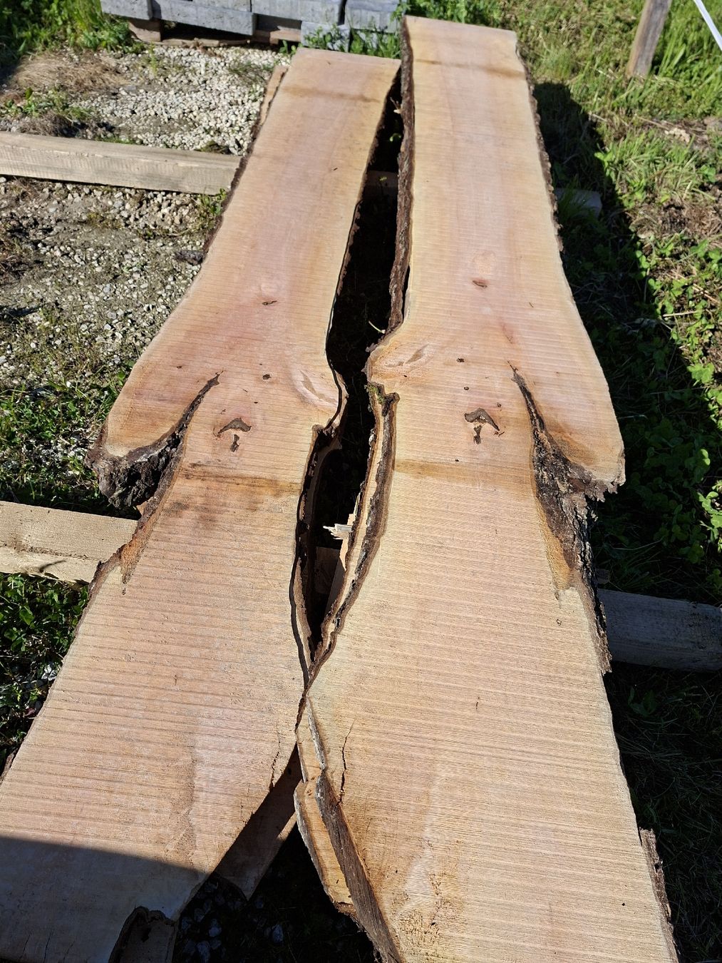 Articoli in legno: Birnenbaumbretter 45mm – Nuovo (secondo la descrizione) da Büren SO venduto da baschi87 2