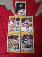EHC BIEL EISHOCKEY SAMMELKARTEN SAISON 1993/94 ANTIK