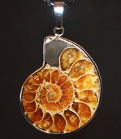 Halskette D-995 – AAA Ammonit Fossil