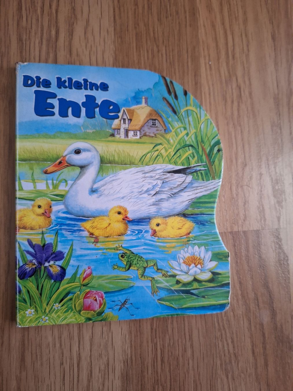 Libri: Kinderbuch Die kleine Ente  – Usato da Stettlen venduto da CySpocy