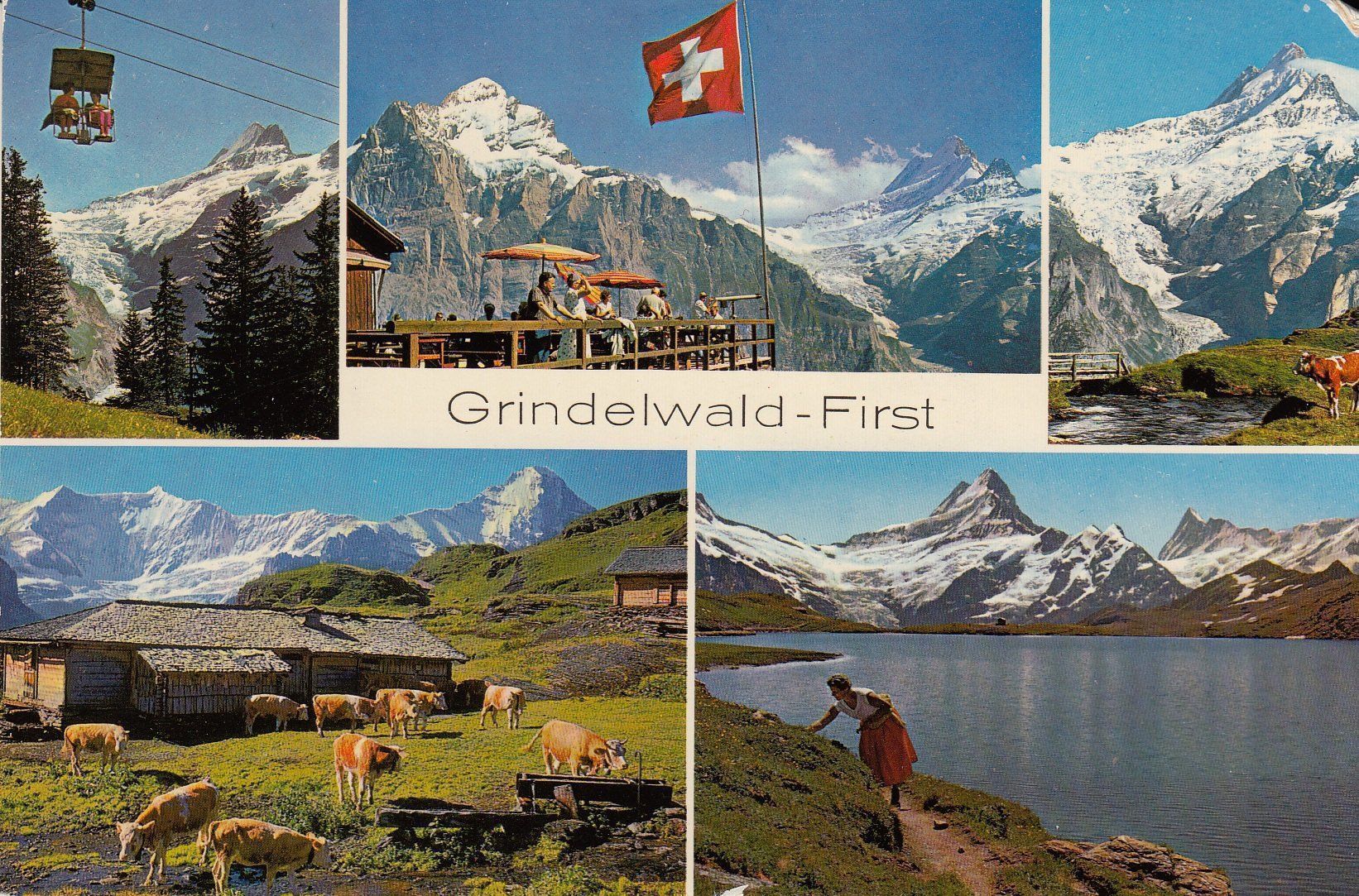 Cartes postales: Grindelwald - First – D'occasion à Flaach par Monisoldshop
