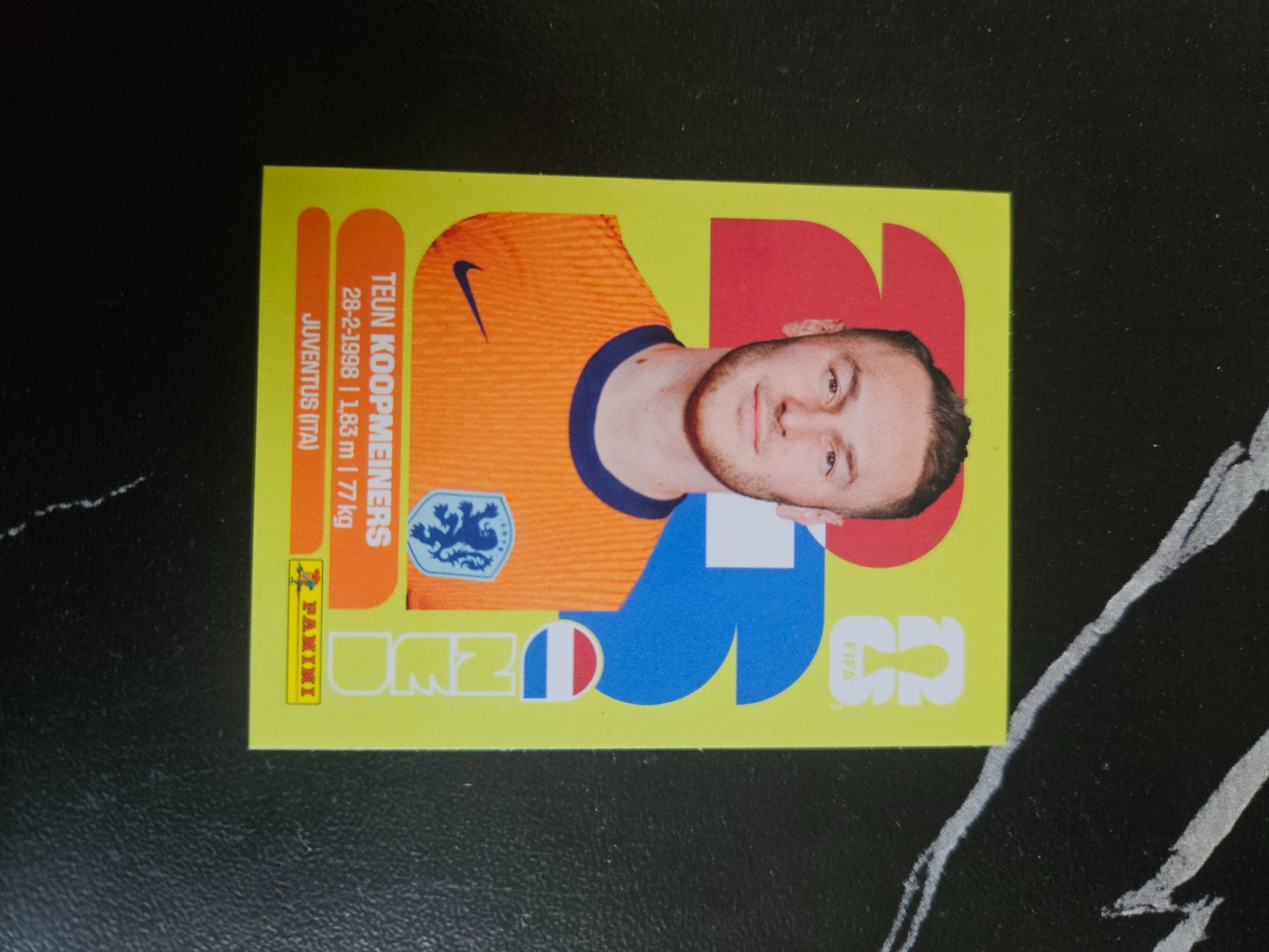 Panini Cartes à collectionner: NED 12 – D'occasion à Würenlingen par Dinli