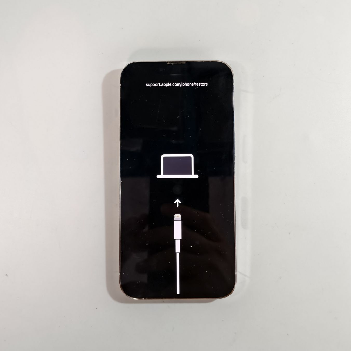 Apple Telefoni cellulari / Smartphones: iPhone 13 Pro weiss – Difettoso da Ehrendingen venduto da Rocky985 1