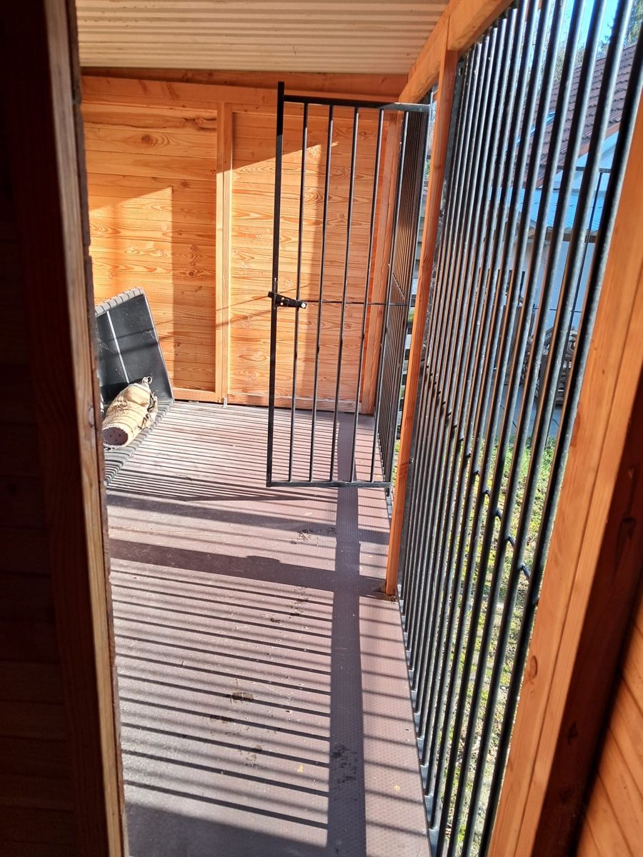 Cucce & Letti: Hundezwinger mit Auslauf – Usato da Roggwil BE venduto da Schlifer01 5