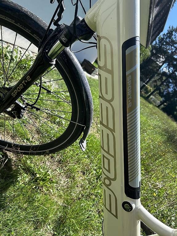 Biciclette: Speed-E E Bike – Usato da Rodels venduto da Schmaetti12 2