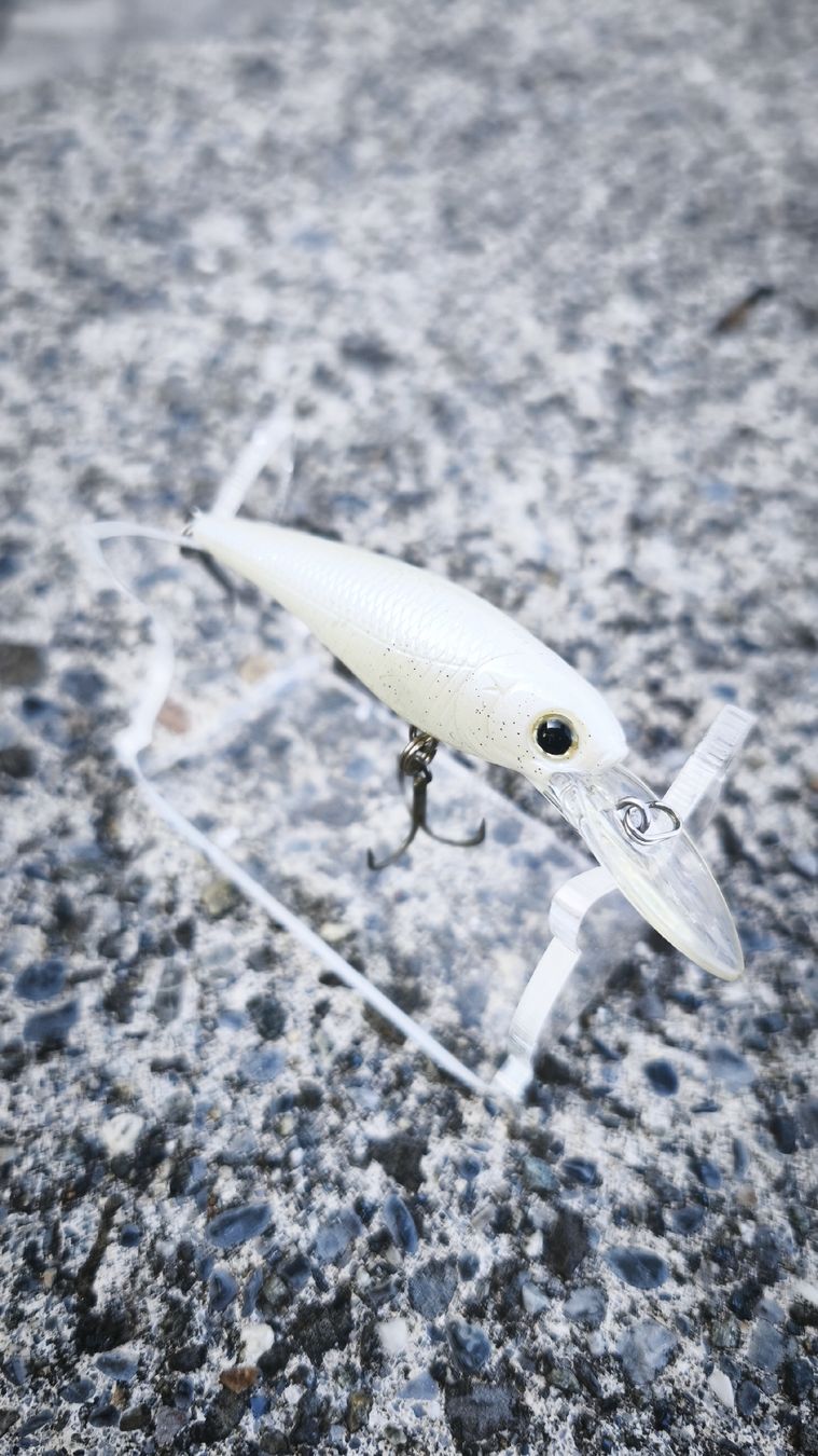 Appâts: Lucky Craft Bevy Shad 60 SP – D'occasion à Sarnen par sebalant