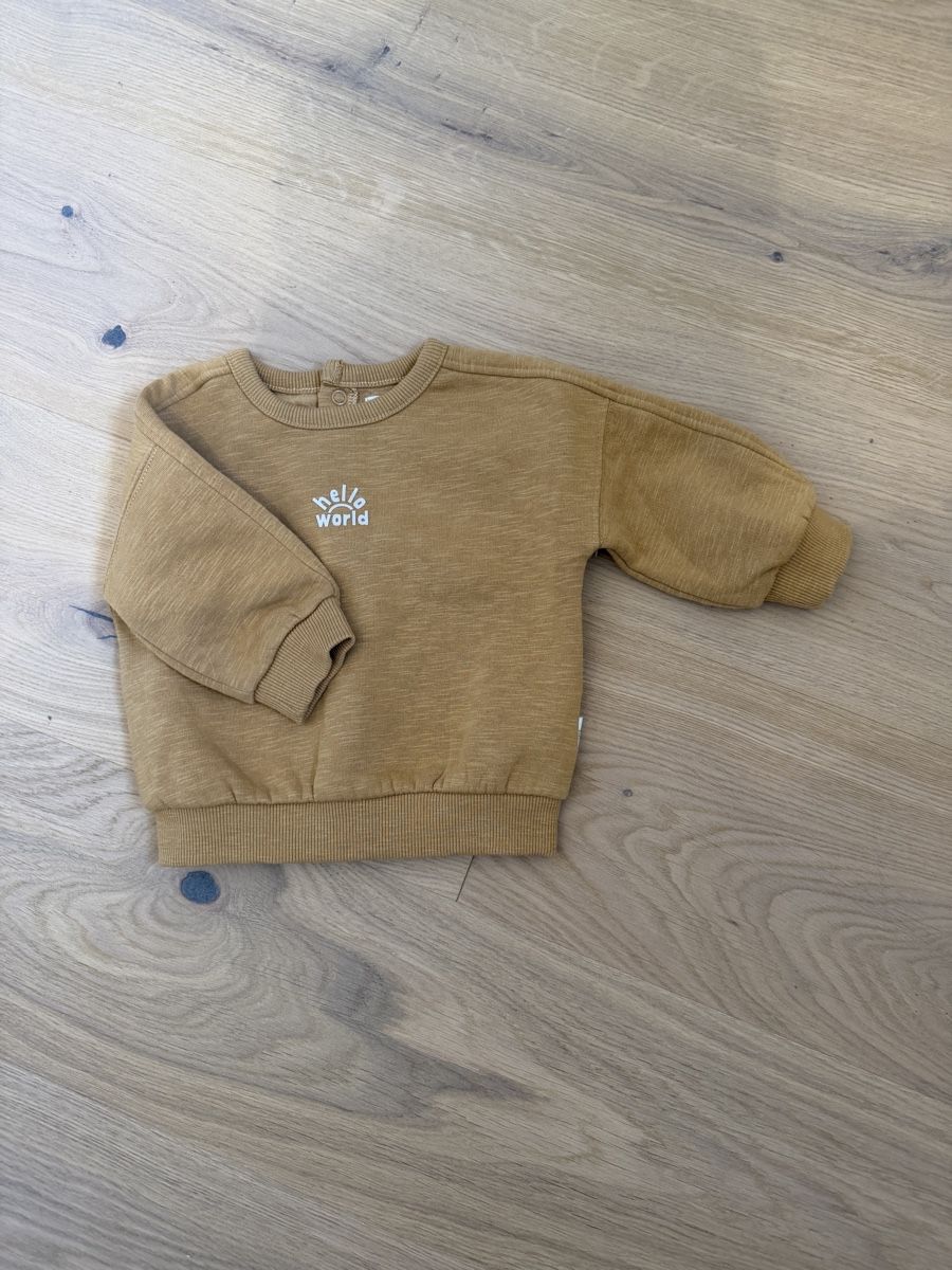 Maglioni & Felpe: Pullover Grösse 68 – Nuovo (secondo la descrizione) da triboltingen venduto da Liguster92