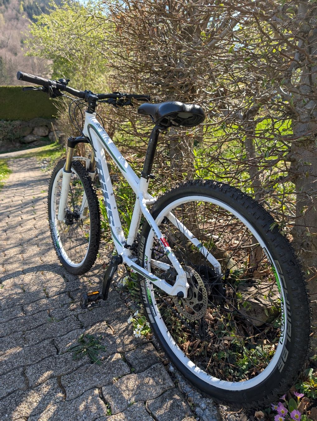 Bixs Velos: Mountainbike – Gebraucht aus Schwanden GL von nadine_gl 1