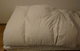 Daunendecke 155 x 220cm - frisch gereinigt