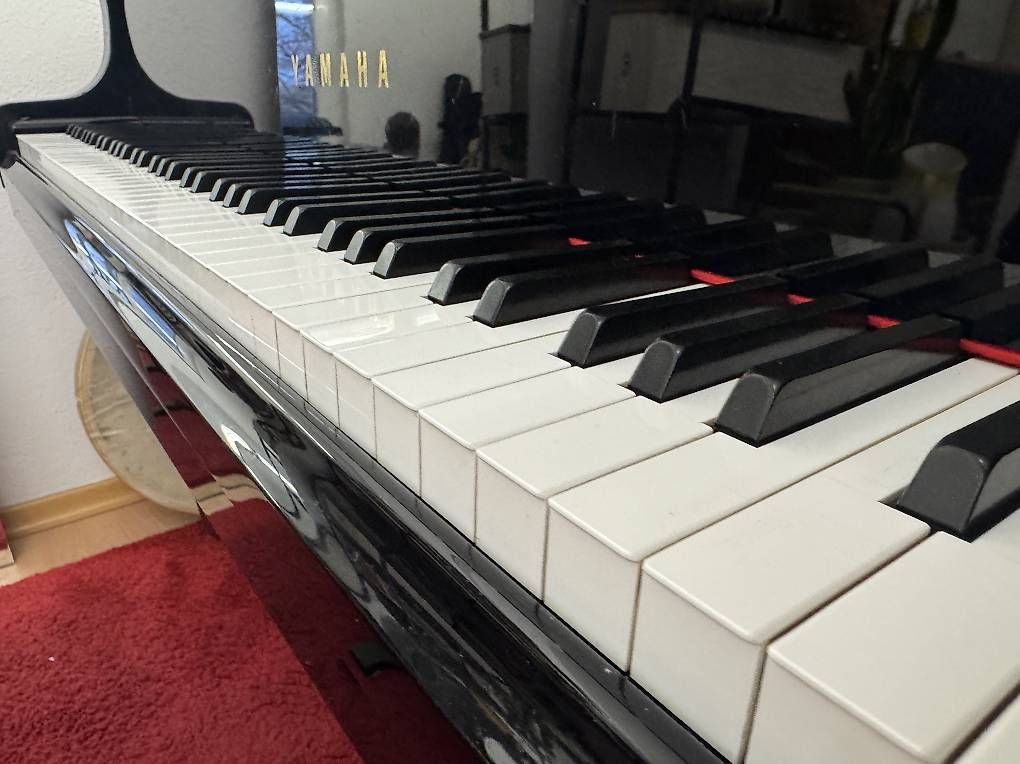 Strumenti musicali: Flügel Yamaha GP1  – Usato da Embrach venduto da CarlosTF 3