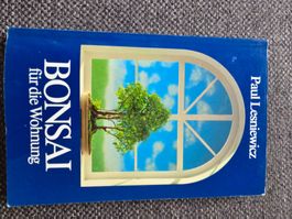 Bonsai für die Wohnung. Paul Lesniewicz