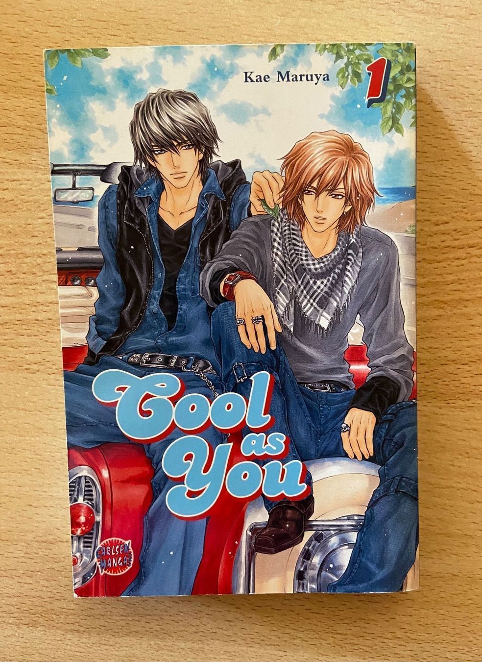 Fumetti: Boys Love - Cool as you – Usato da Höchstetten venduto da Syaoran-kun-
