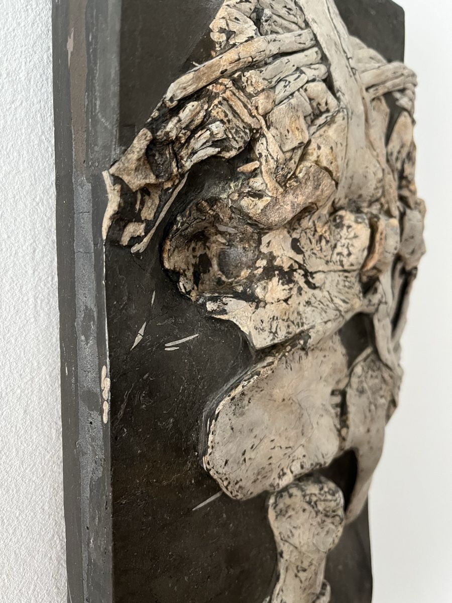 Fossiles: Ichthyosaurier Fossil Holzmaden – Neuf (Voir description) à Orpund par Steinway 3