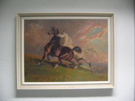 Pferde  Bild von K. Székelyi