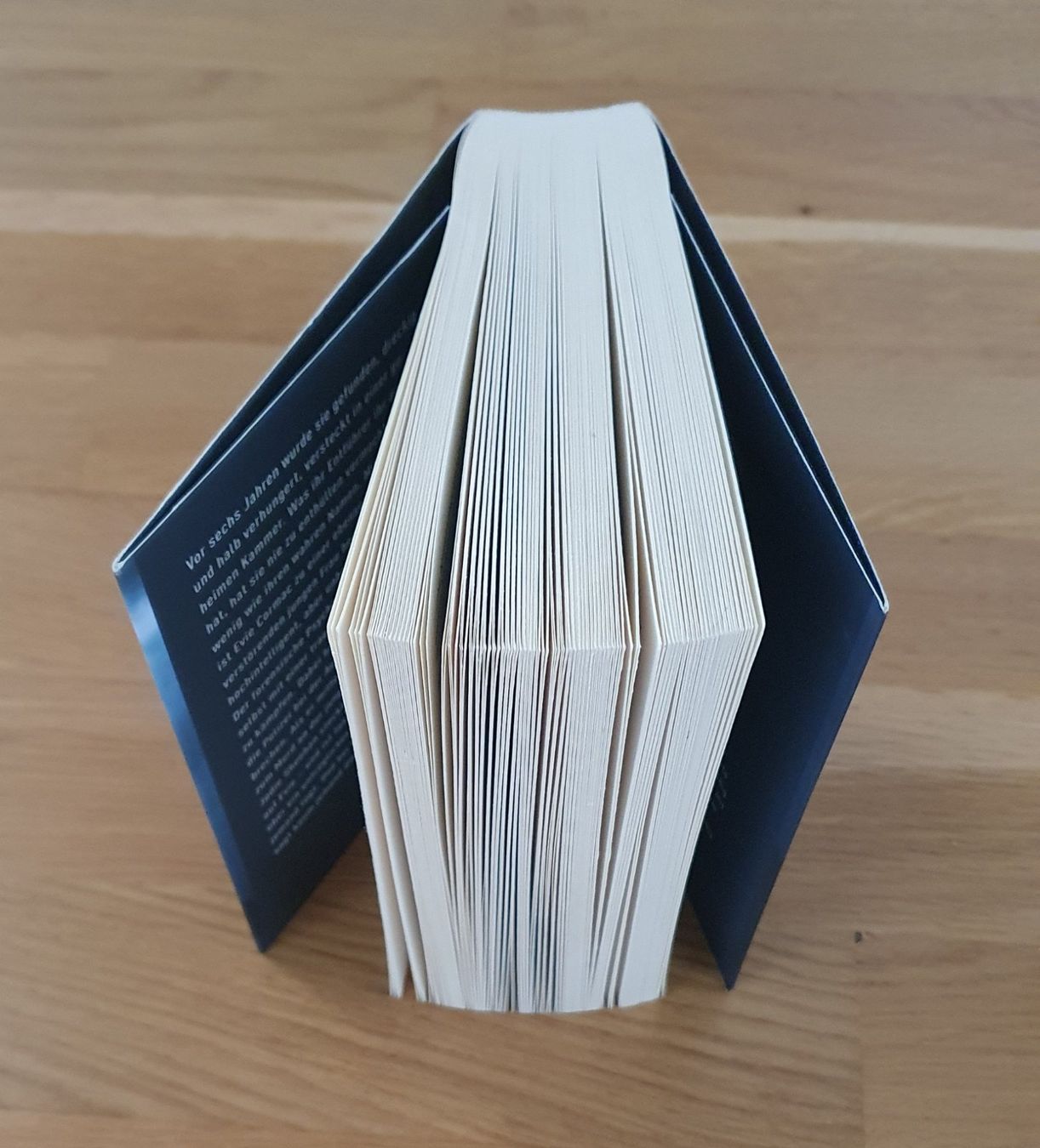 Libri: Schweige Still / Michael Robotham – Usato da Emmenbrücke venduto da Re6020 2