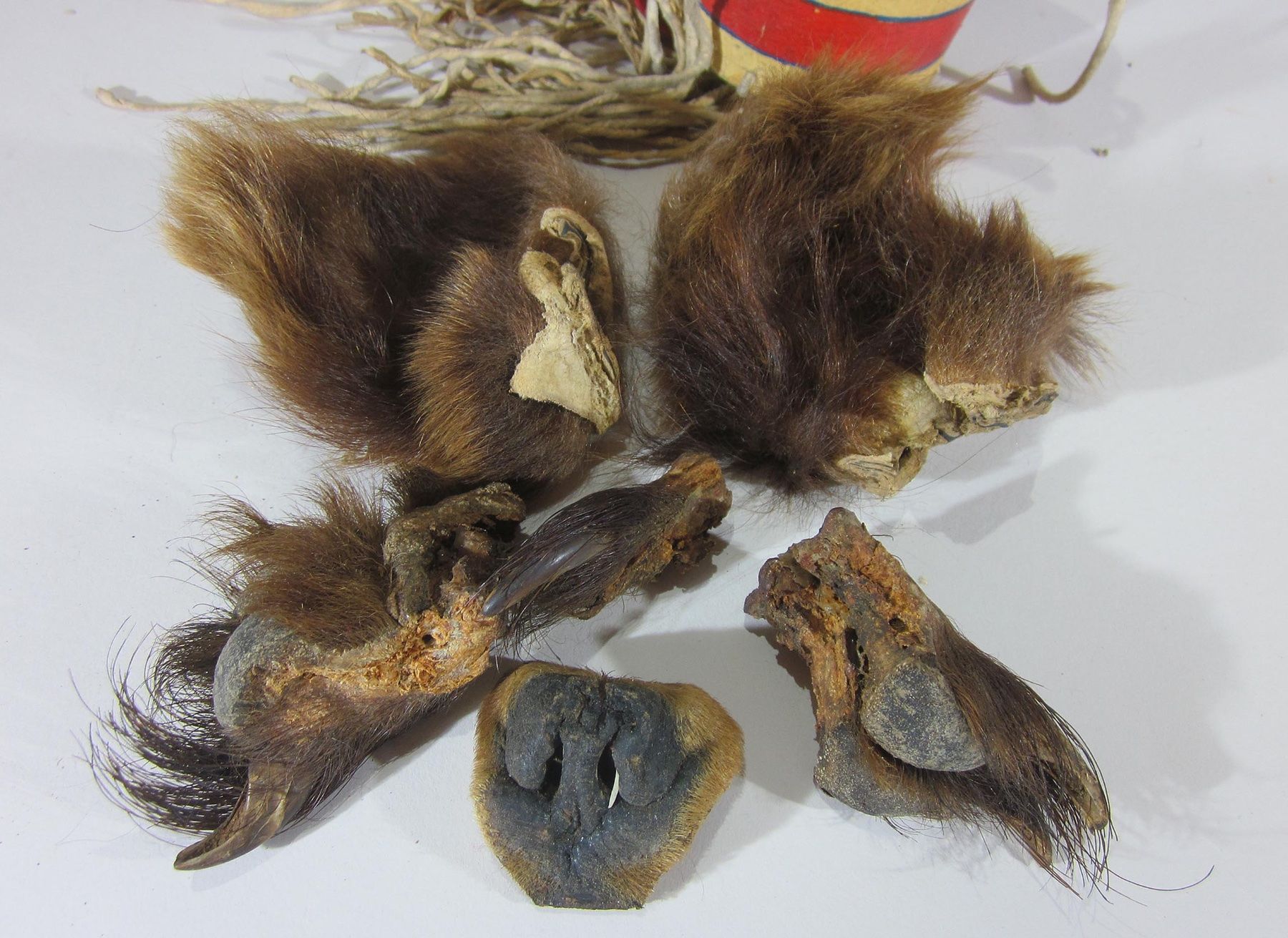 Statuette: Blackfeet Indianer Bär-Medizin – Usato da Bäretswil venduto da robsonantik 5