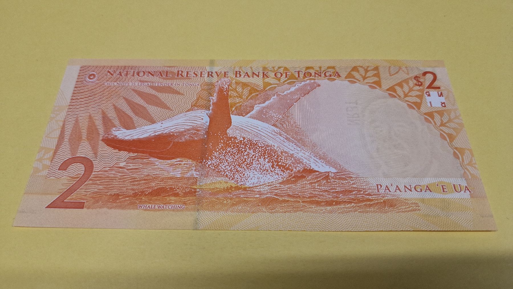 Banconote: Tonga 2 Dollar Banknote, ungeumlaufen, – Nuovo e nell'imballaggio originale da Herisau venduto da Antiques.AR 1
