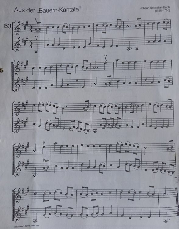 Libri: Klavier und Geigennoten – Usato da Adliswil venduto da cha_fq9f 4