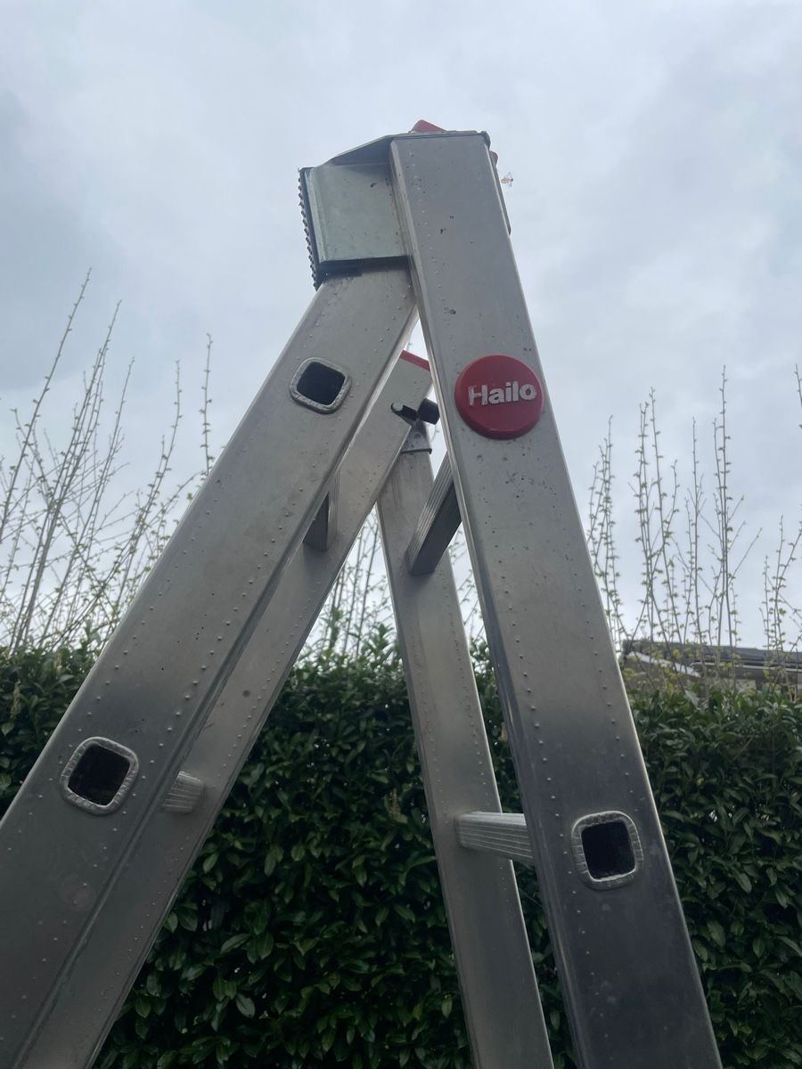 Hailo Echelles: Auszugsleiter – D'occasion à Altendorf par blaserrr 2