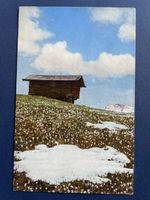 Alte Ansichtskarte Frühlings-Impression Safranwiese m.Hütte
