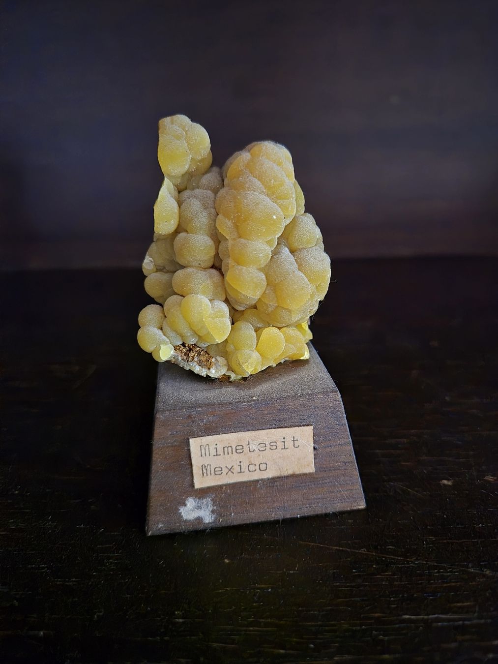 Minerali & Pietre curative: Mimetesit Mexiko – Usato da Luzern venduto da King_anubis
